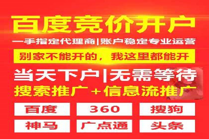 高效百度推广案例解析及优化策略